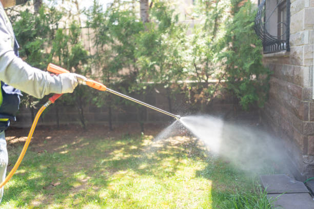 Best Best Pest Control Companies  in Stony Point, NC
