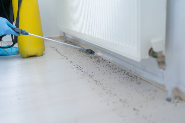 Pest Control for Restaurants in Stony Point, NC