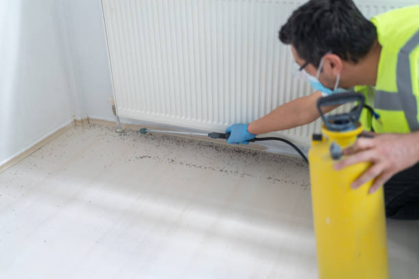 Professional Pest Control in Stony Point, NC